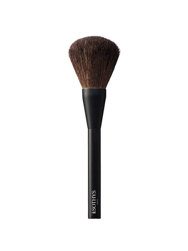 Make Up Brushes
